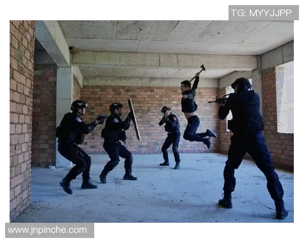 杭州排球队防反战术解析与热点动态全面解读